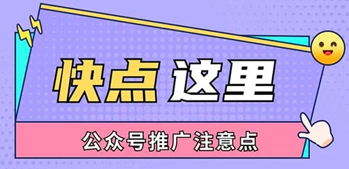 公众号如何提供能够快速涨粉