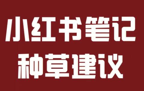 种草笔记与小红书广告的完美结合，点燃购物热情